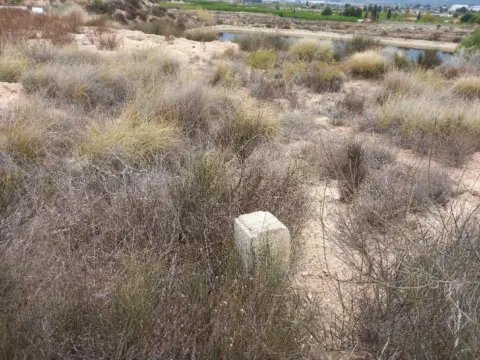 Finca rústica en Librilla